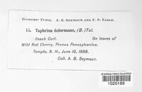 Image Associated With the Occurence